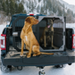 Stationary dog crate in the bed of a pickup truck by Rock Creek Crates