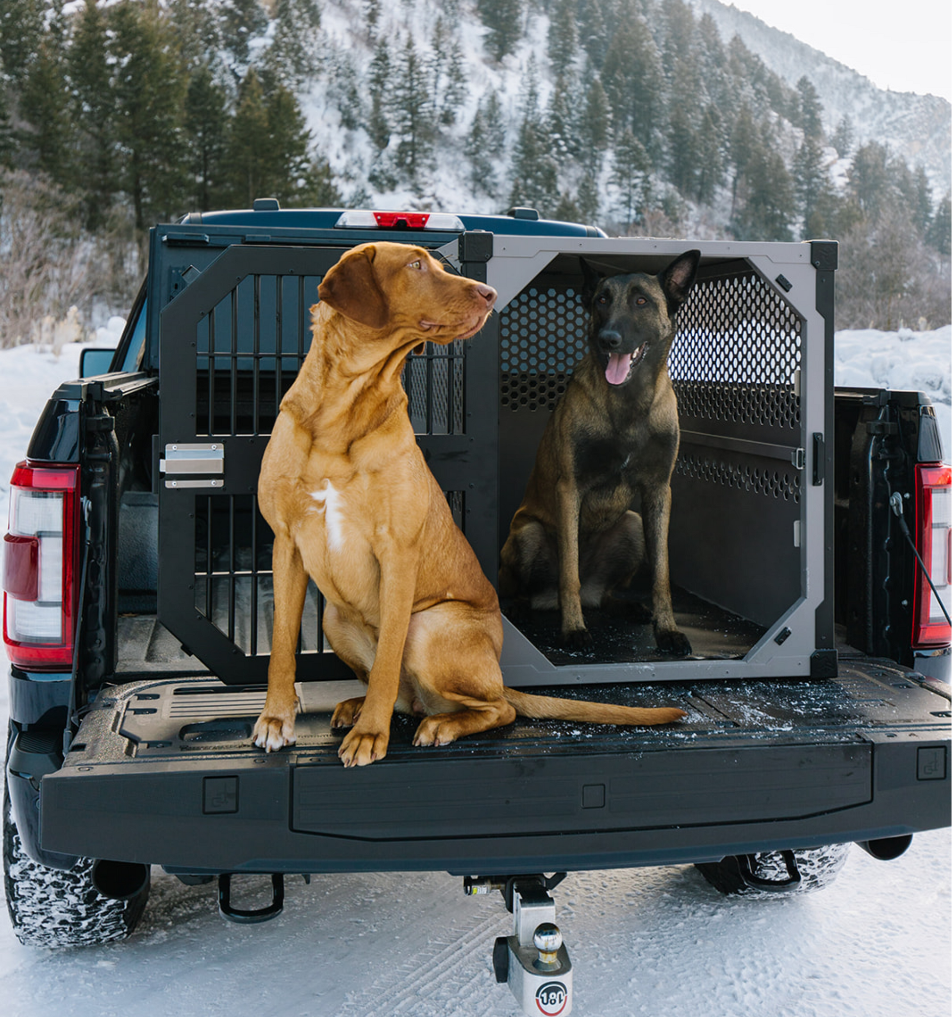 Collapsible Dog Crate – Rock Creek Crates