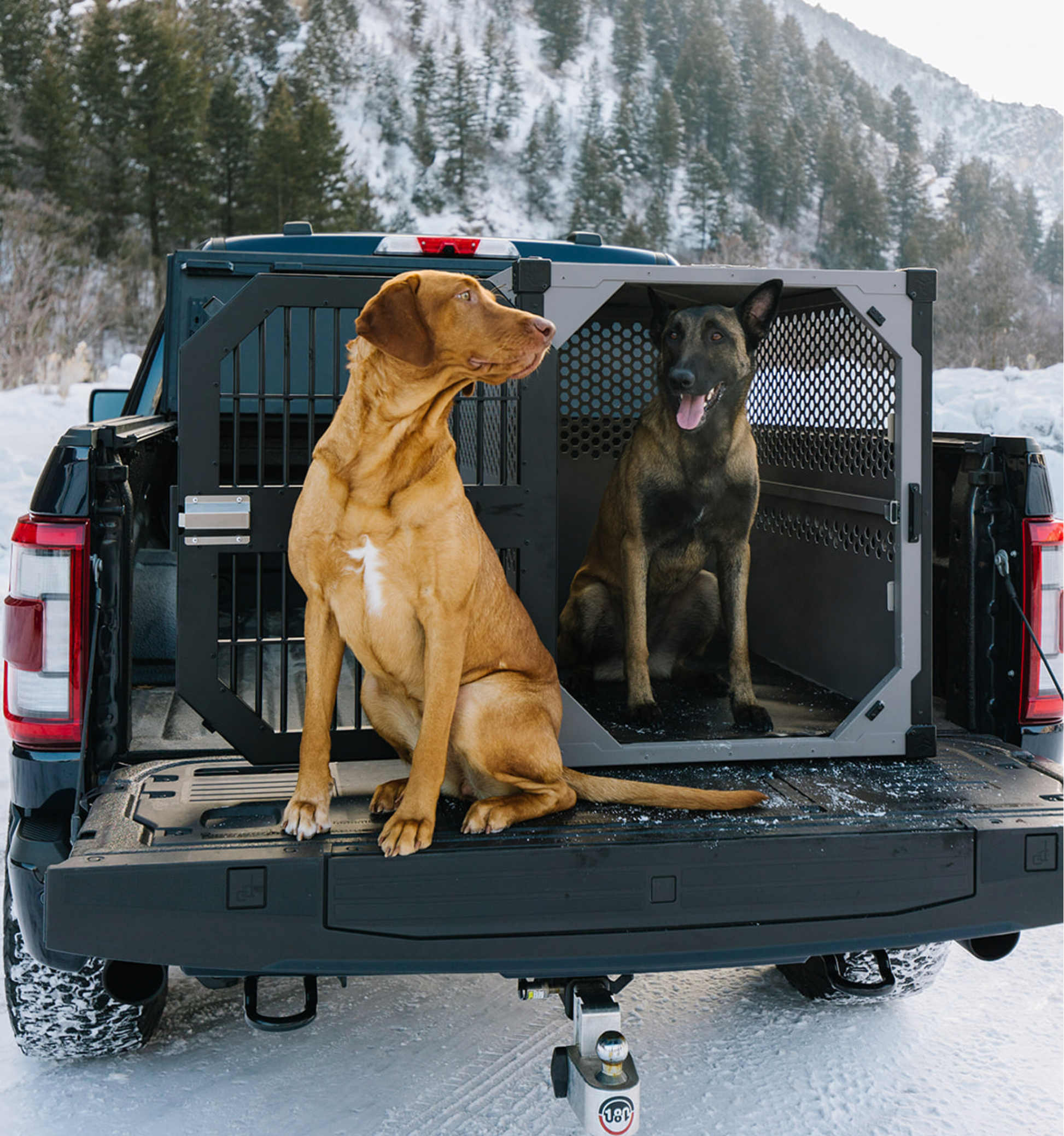 Stationary dog crate in the bed of a pickup truck by Rock Creek Crates