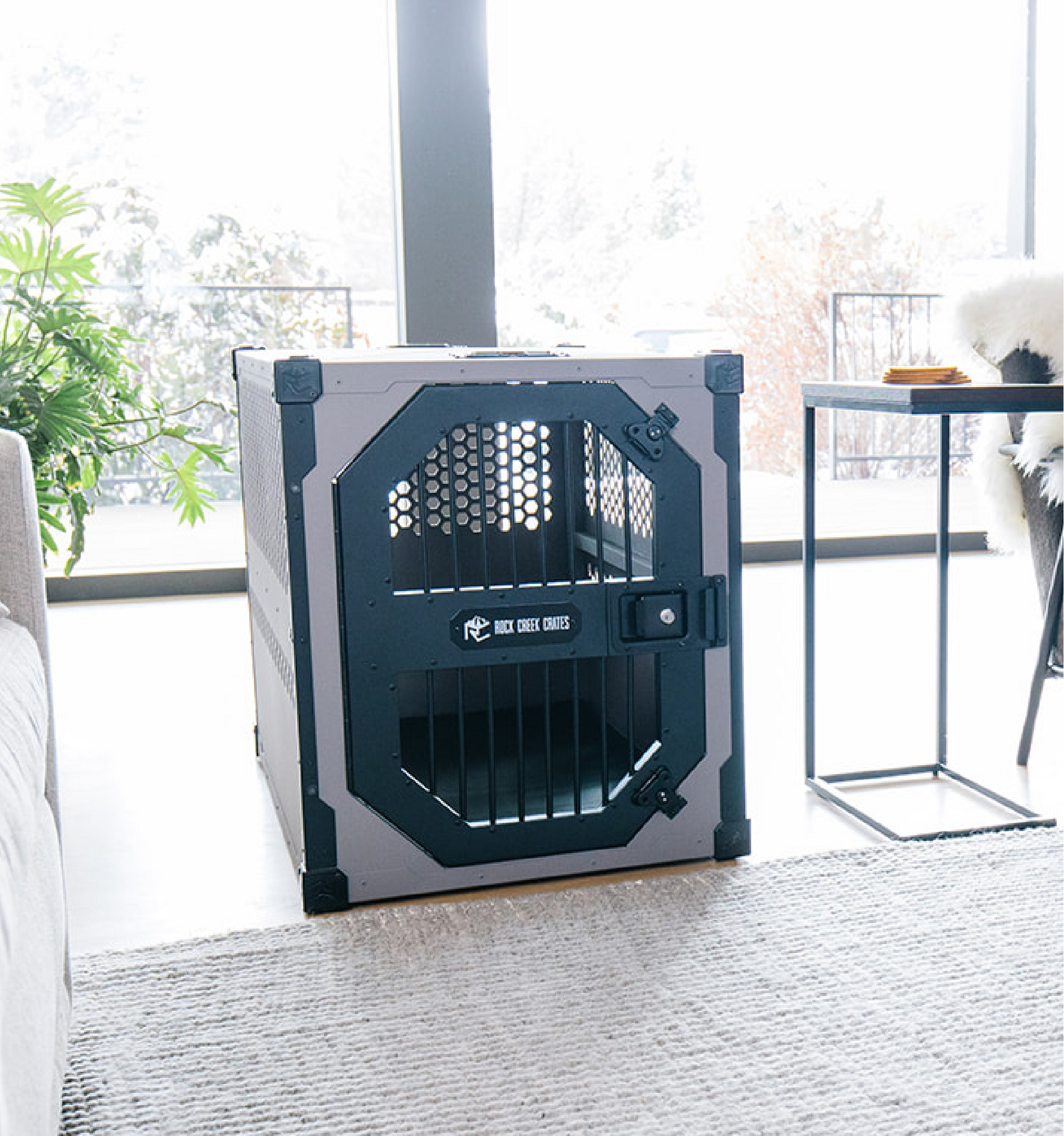 Great choice dog clearance crate replacement door