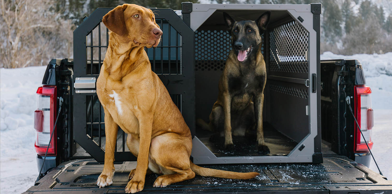 A Stronger Safer Dog Crate Crash Tested Dog Crates Rock Creek Crates