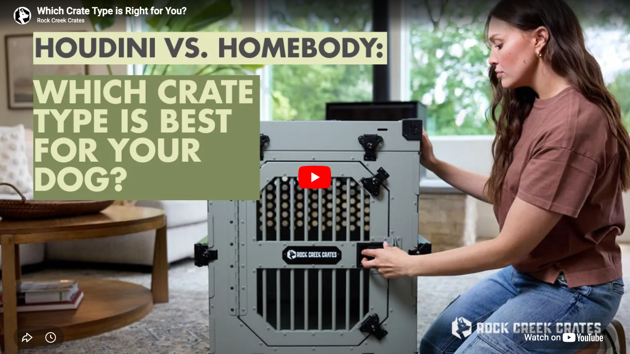 Load video: Which Crate Type is Right for Your Dog?