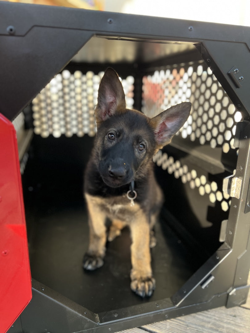 Custom-colored dog crate by Rock Creek Crates